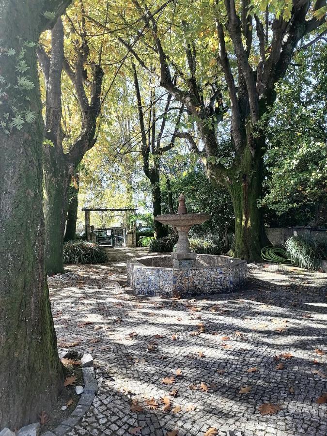 Camelia Rooms Guimarães Eksteriør bilde